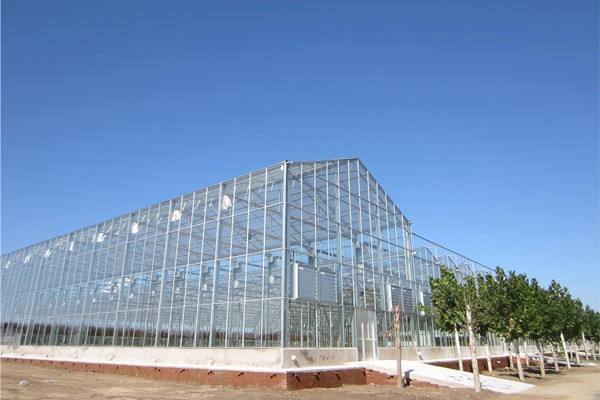 PC陽(yáng)光板溫室大棚